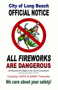 NO Fireworks Poster